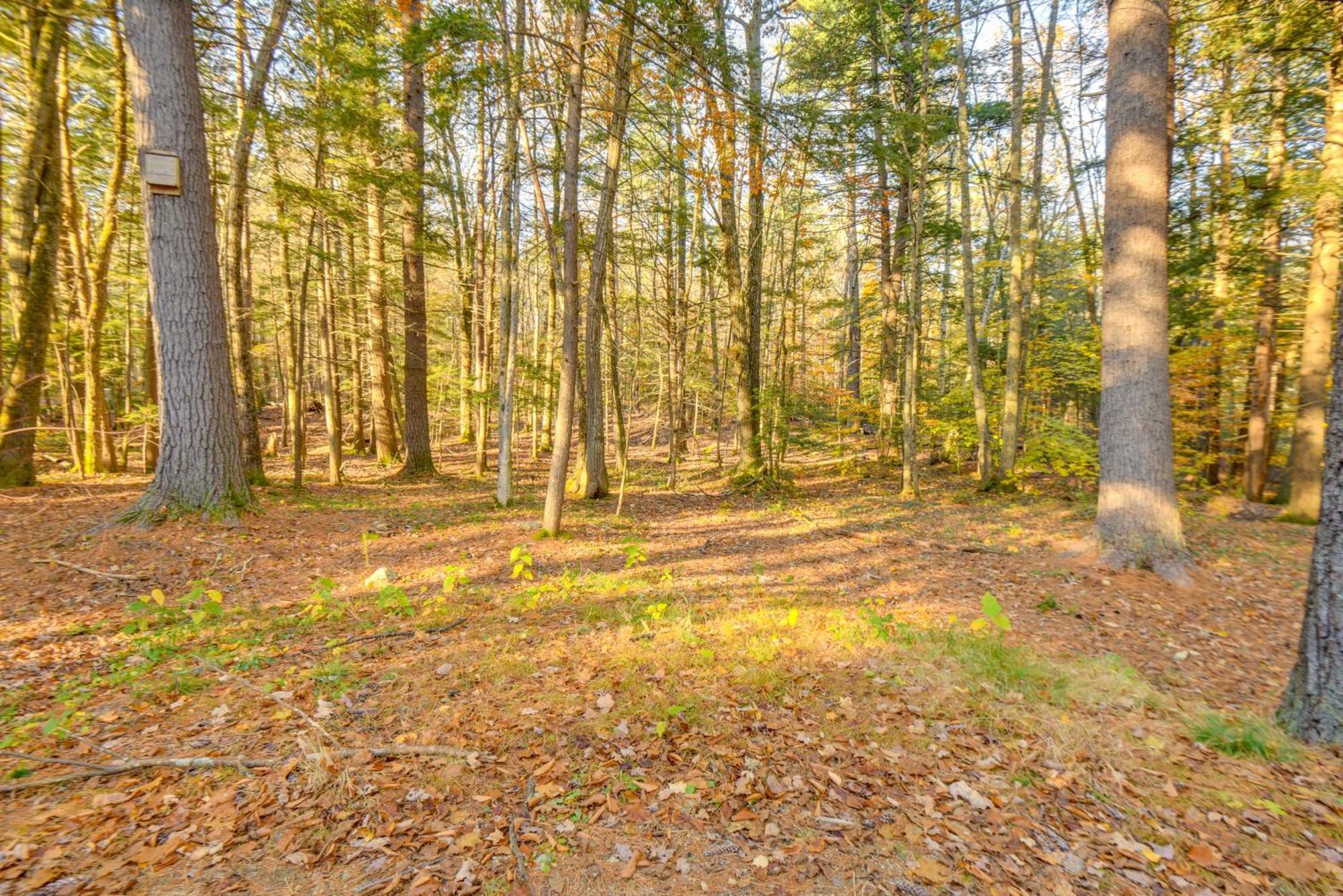 North Conway Vacation Rental Near Saco River! Exterior photo