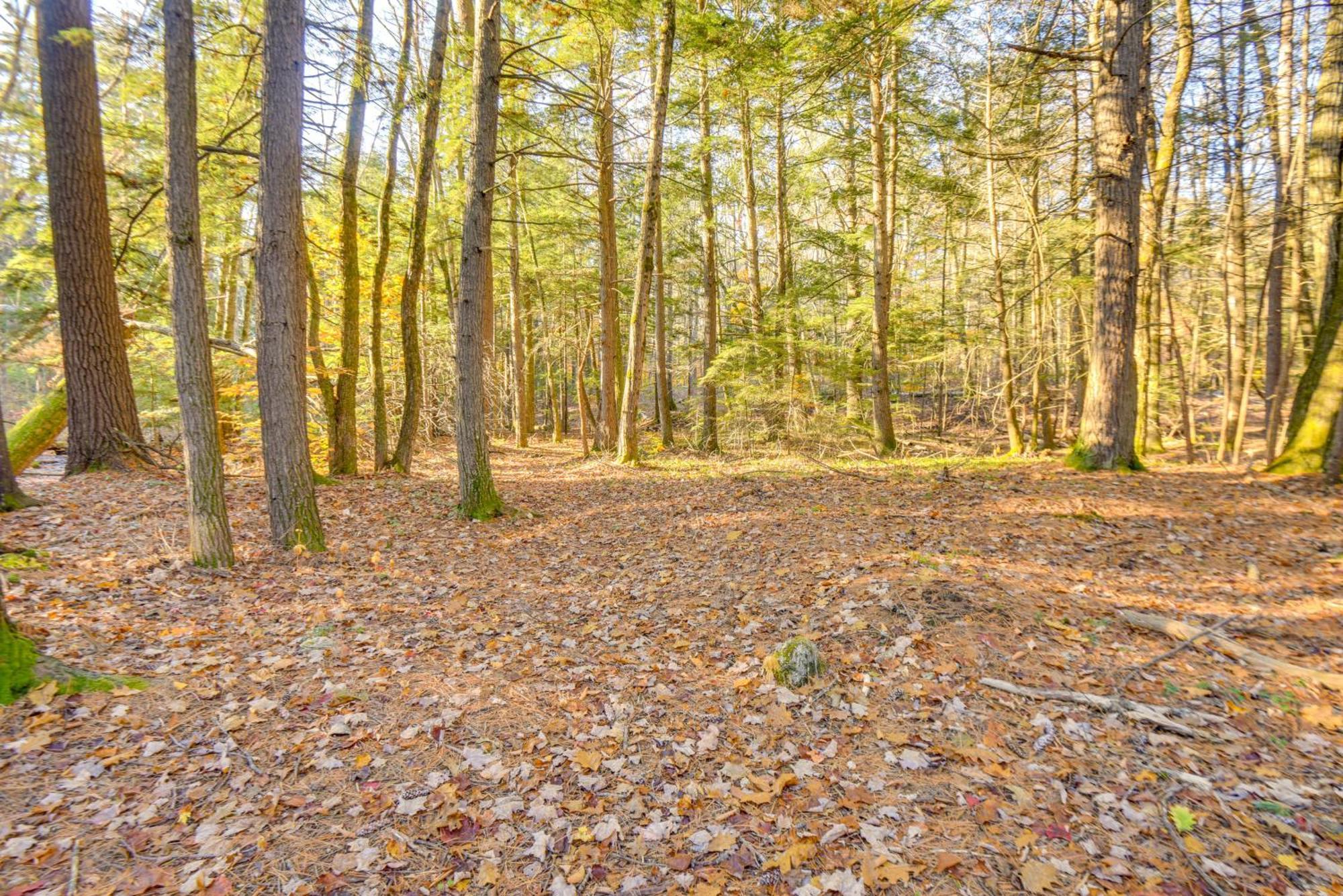 North Conway Vacation Rental Near Saco River! Exterior photo